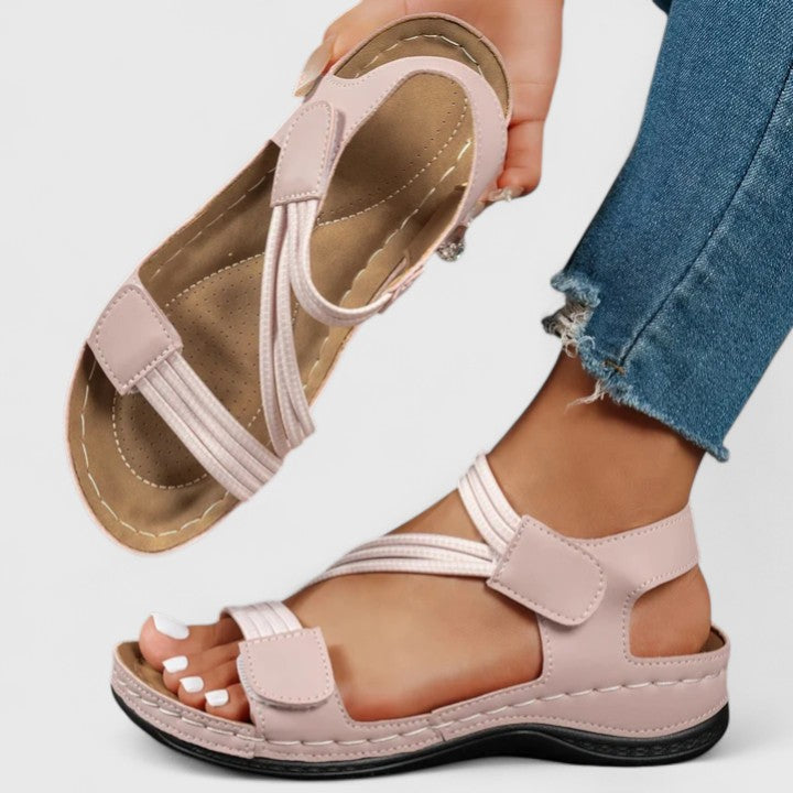 Rose / 12 US | 43 EU