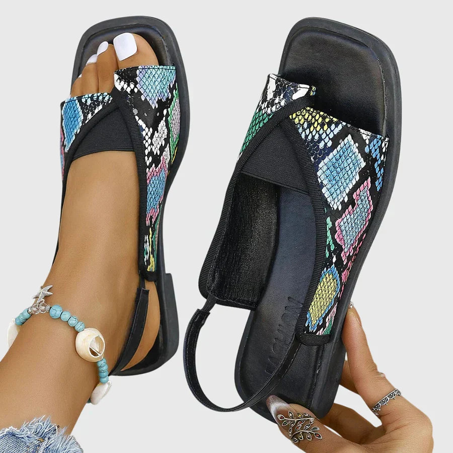 Multicolore / 12 US | 43 EU