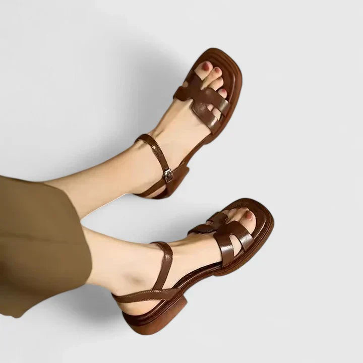 Marron / 9 US | 40 EU